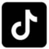 TikTok Logo